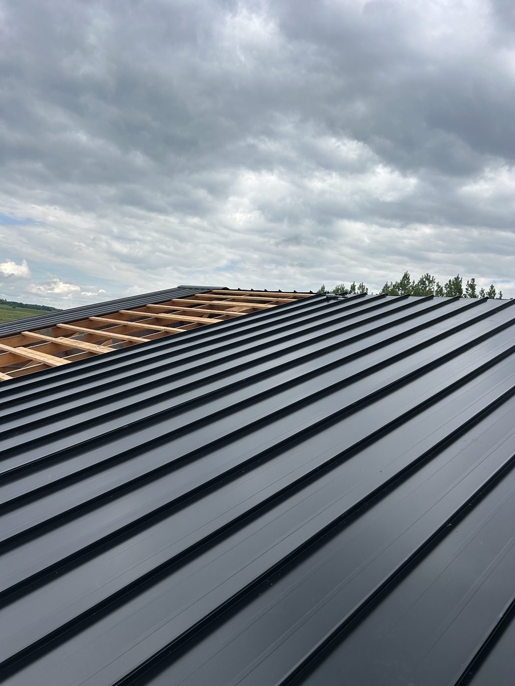 Black standing-seam metal panels roll-formed and installed on a Westman roof